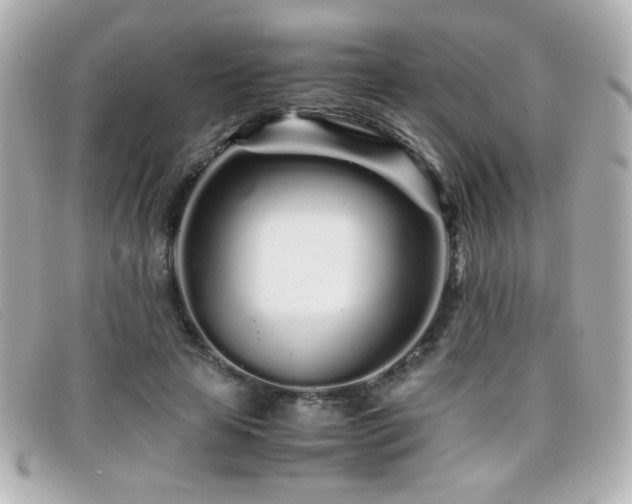 X0000099430641200805091251