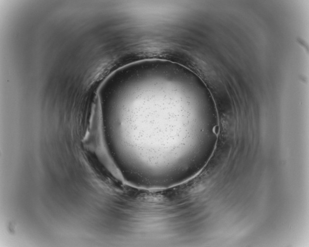X0000099430642200805091251