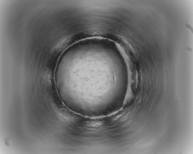 X0000099430643200805091251