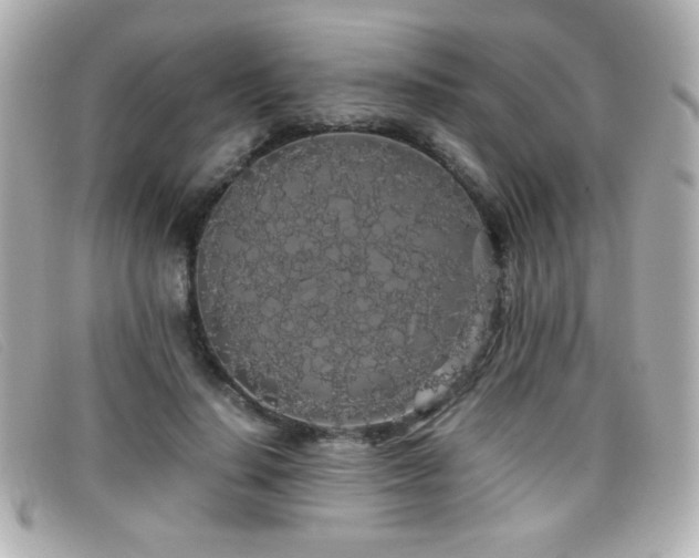 X0000099430644200805091251