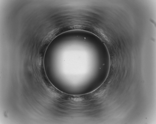 X0000099430645200805091251