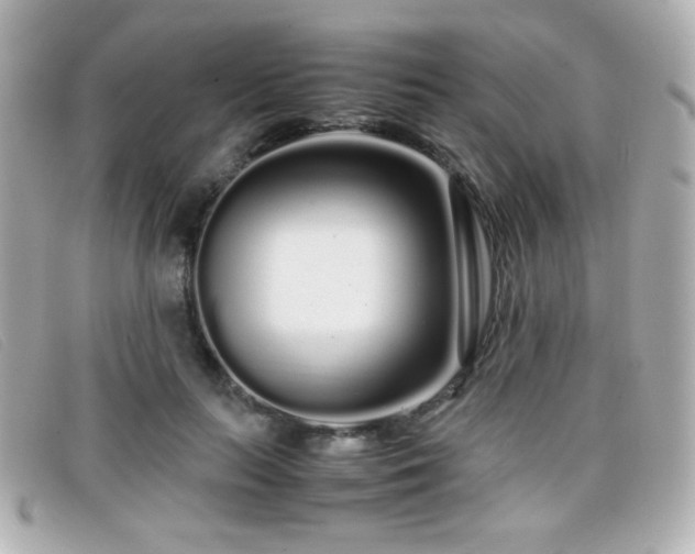 X0000099430647200805091251