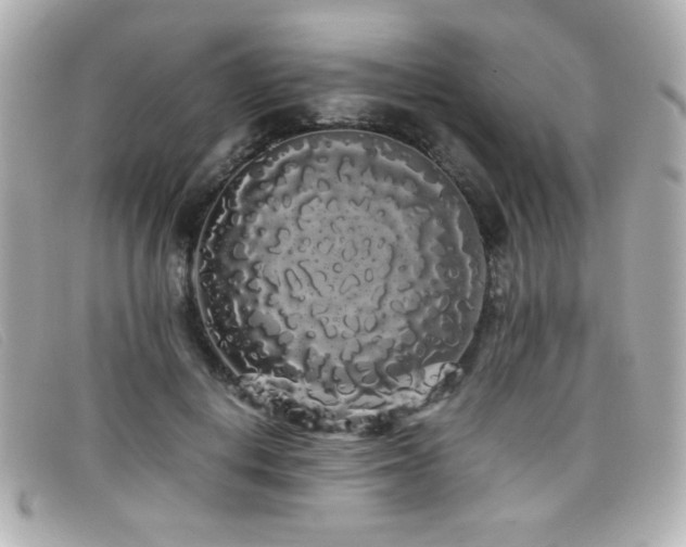 X0000099430648200805091251