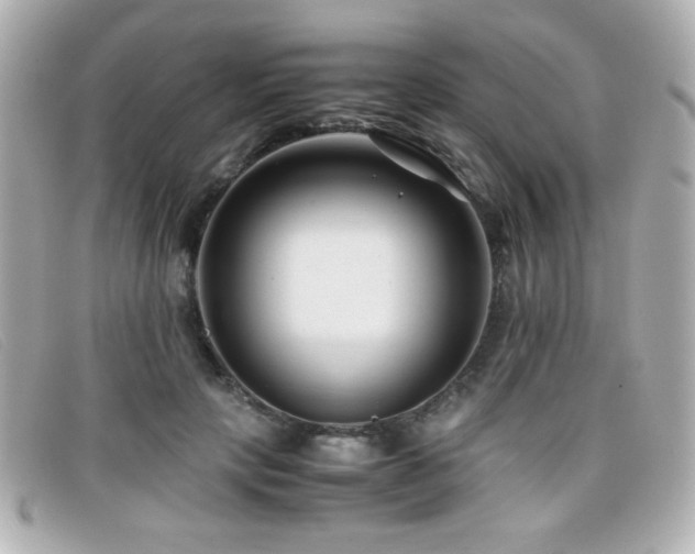 X0000099430649200805091251