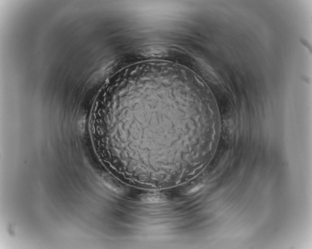 X0000099430652200805091251