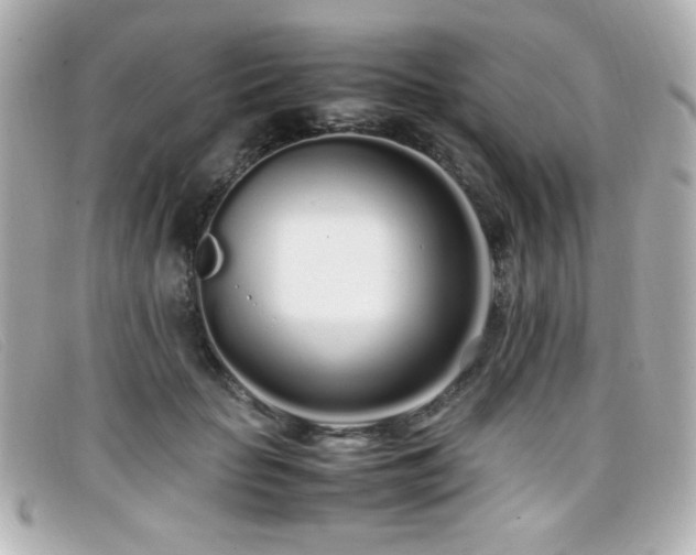 X0000099430653200805091251