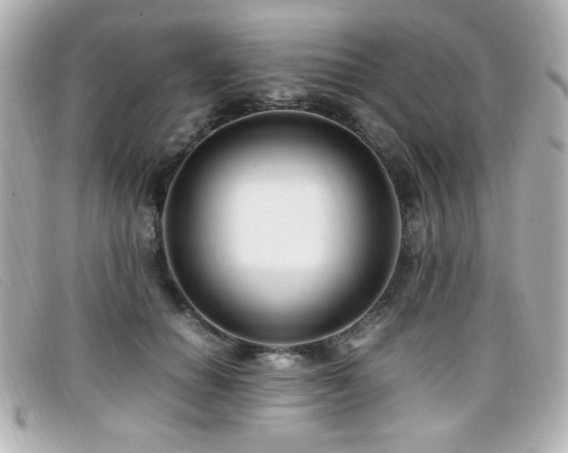 X0000099430654200805091251