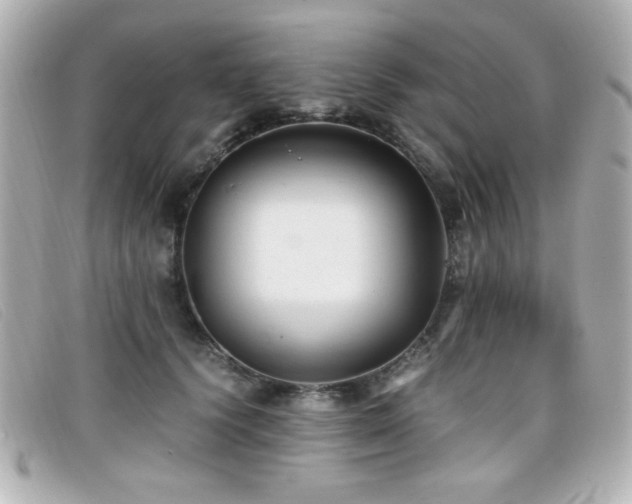X0000099430656200805091251