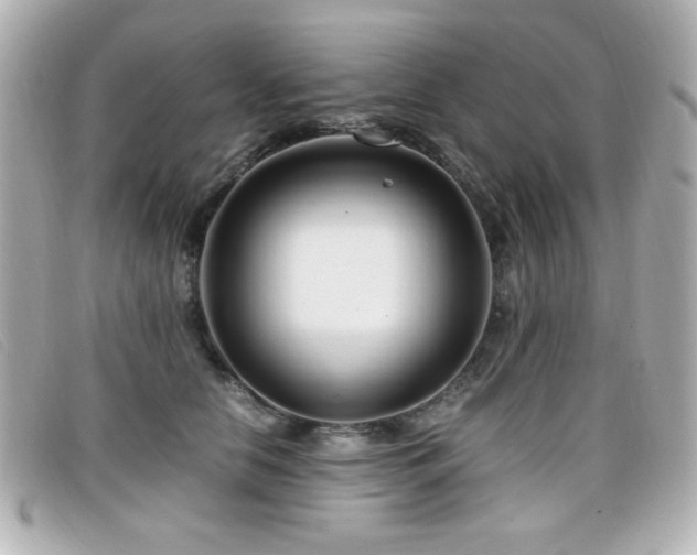 X0000099430658200805091251