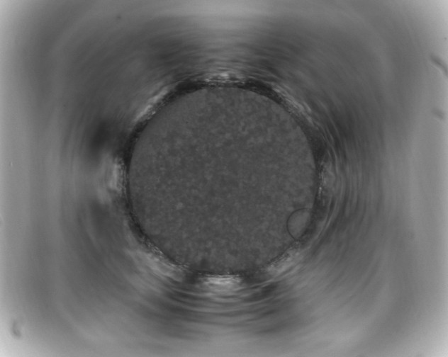 X0000099430659200805091251
