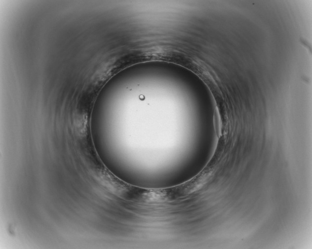 X0000099430660200805091251