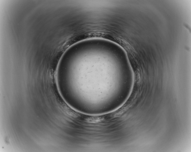 X0000099430661200805091251