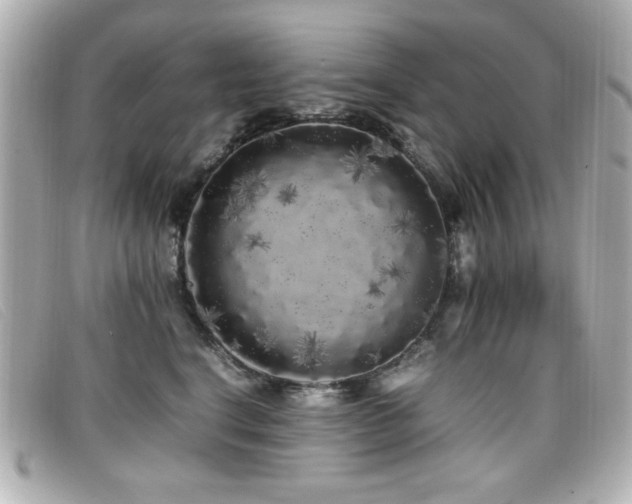 X0000099430664200805091251