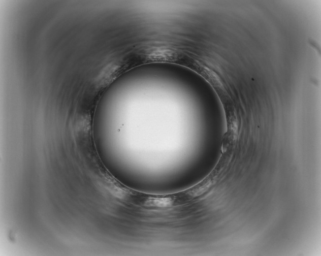 X0000099430665200805091251