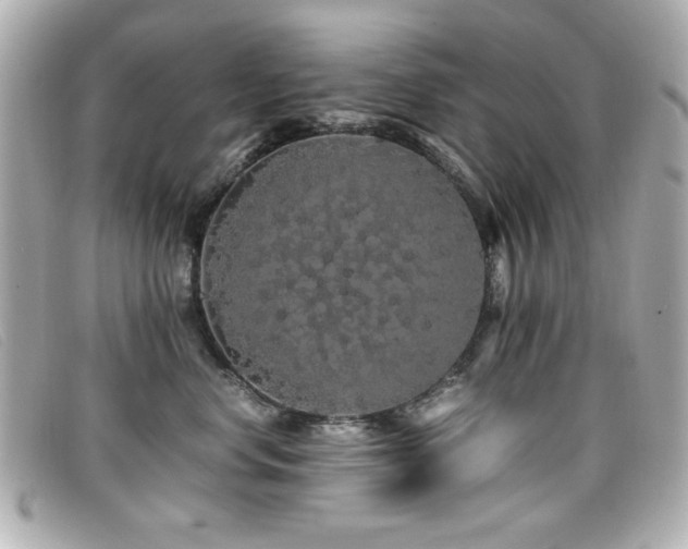 X0000099430668200805091251