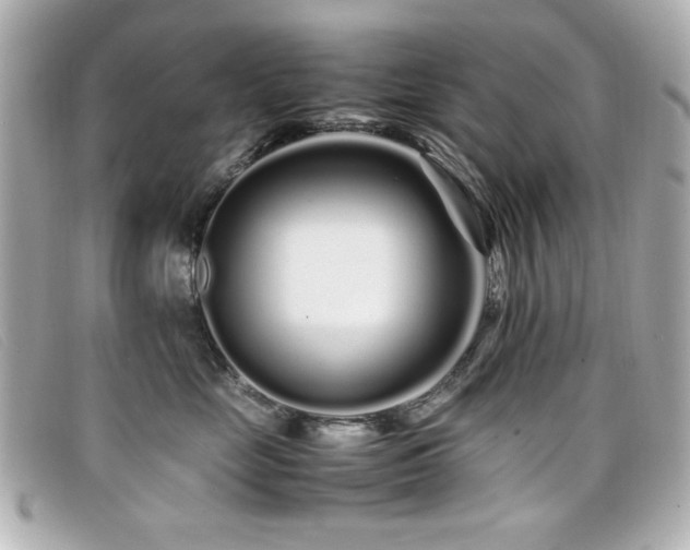 X0000099430669200805091251