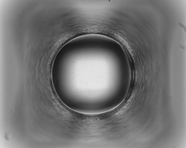 X0000099430673200805091251