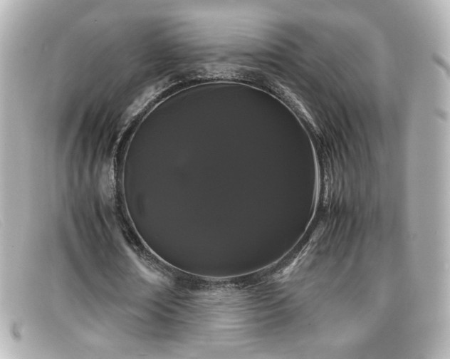 X0000099430674200805091251