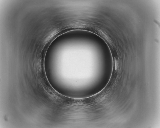 X0000099430675200805091251
