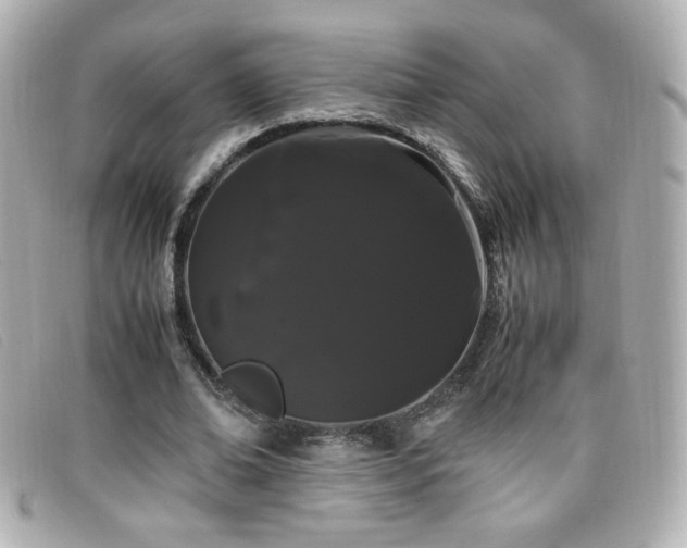 X0000099430678200805091251
