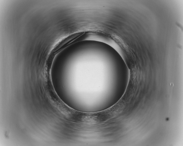 X0000099430680200805091251