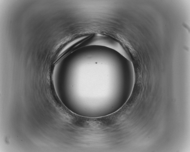 X0000099430681200805091251