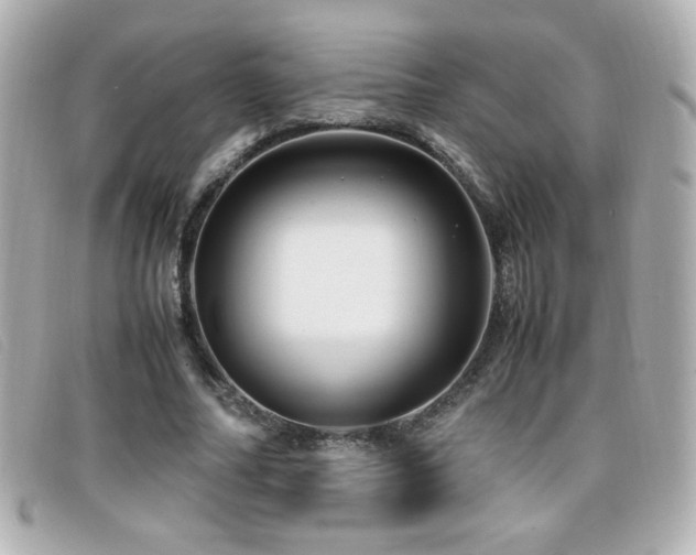 X0000099430682200805091251