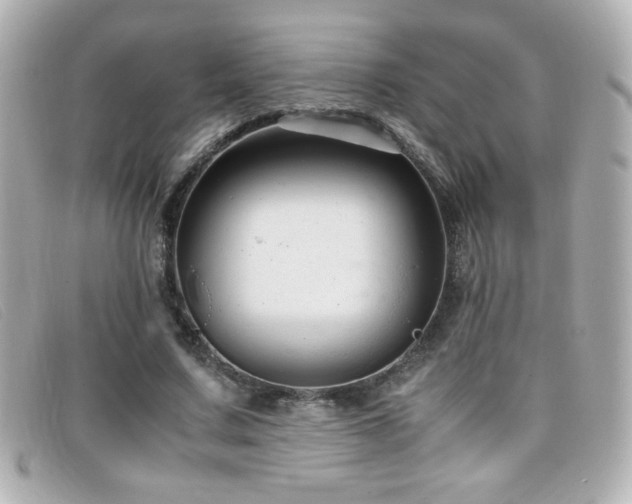 X0000099430683200805091250
