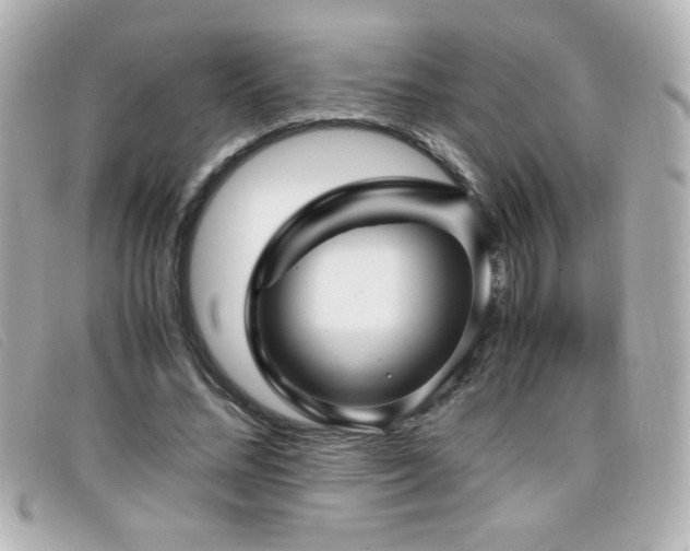 X0000099430684200805091250