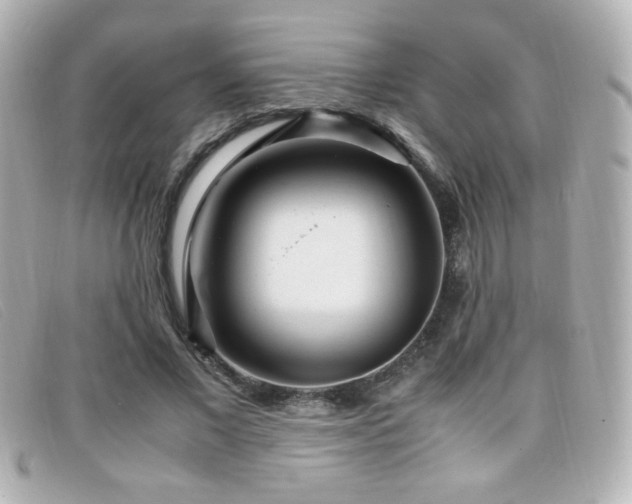 X0000099430685200805091250