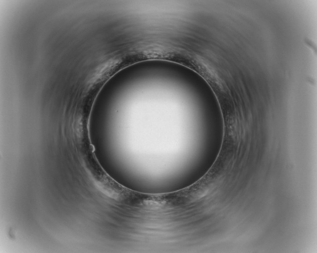 X0000099430690200805091250