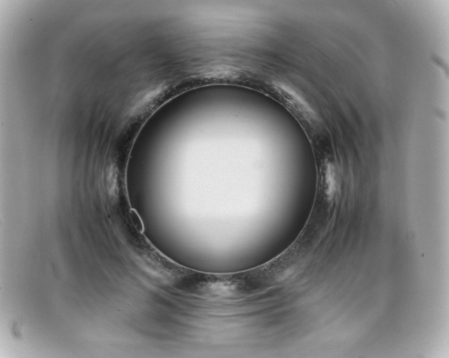 X0000099430692200805091250