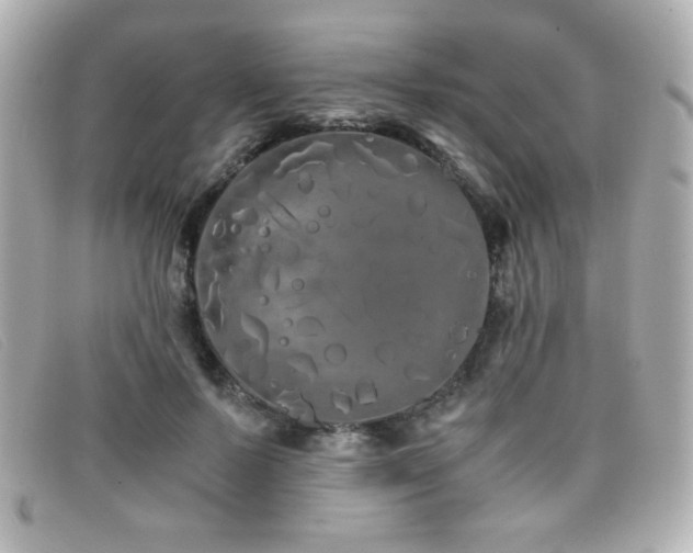 X0000099430695200805091250