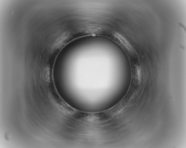X0000099430696200805091250