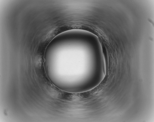 X0000099430697200805091250