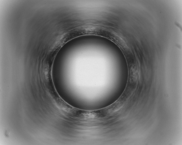 X0000099430698200805091250