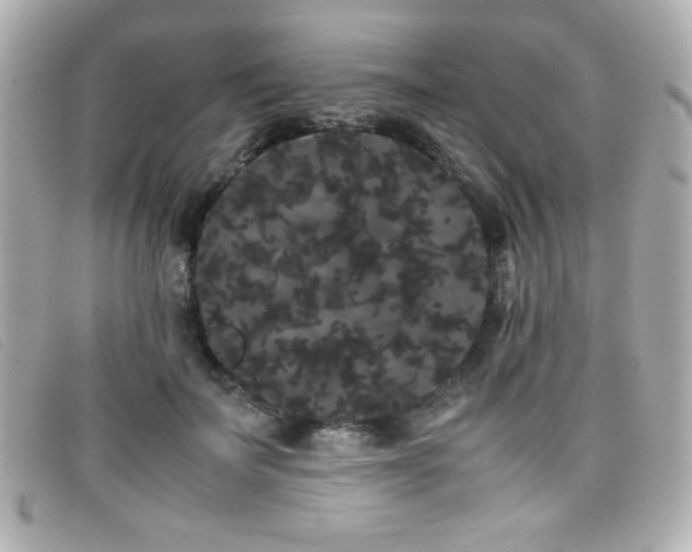 X0000099430699200805091250