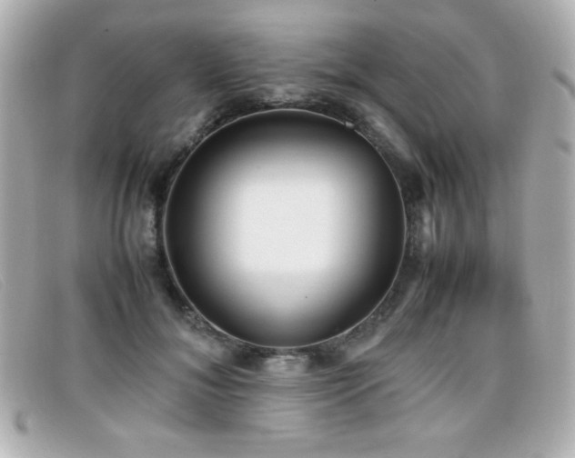 X0000099430700200805091250
