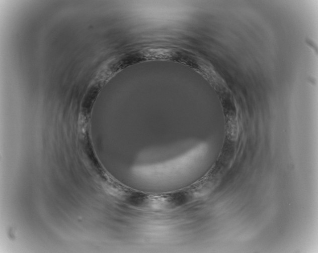 X0000099430701200805091250