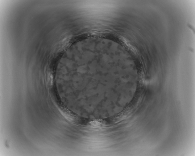 X0000099430703200805091250