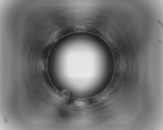 X0000099430706200805091250