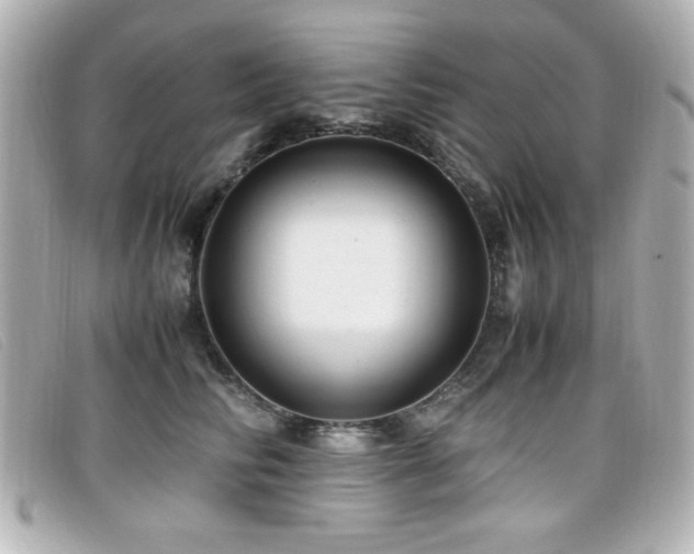 X0000099430710200805091250