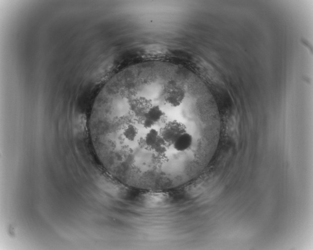 X0000099430711200805091250