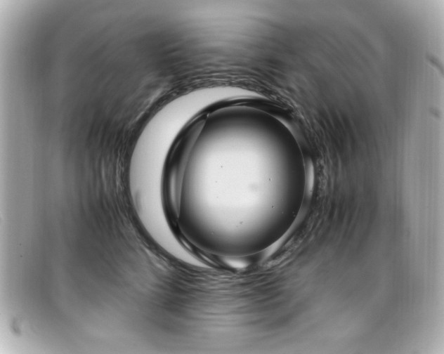 X0000099430712200805091250