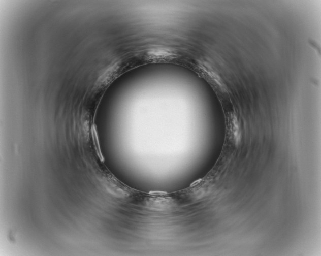 X0000099430716200805091250