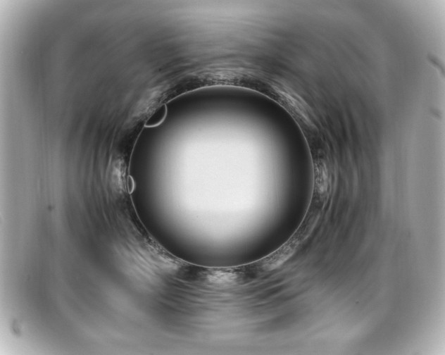 X0000099430718200805091250