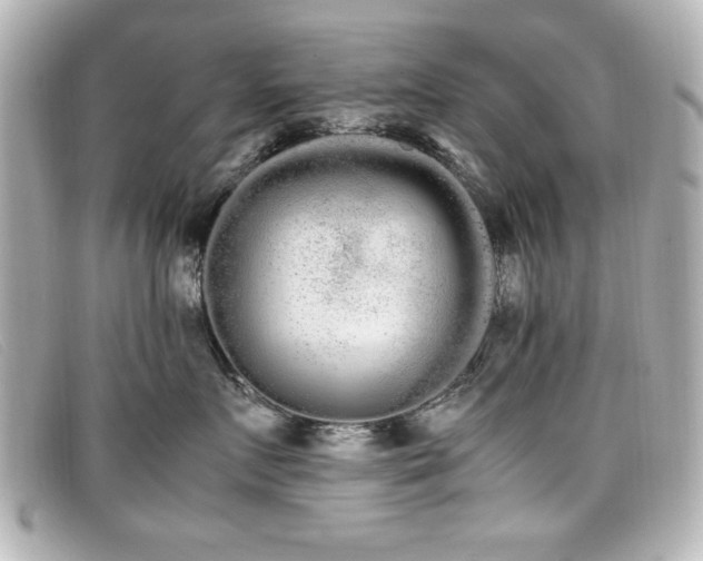 X0000099430719200805091250