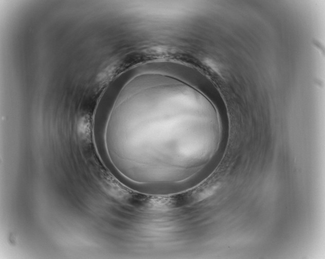 X0000099430720200805091250