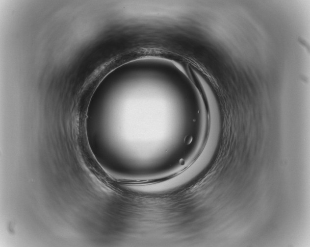 X0000099430722200805091249