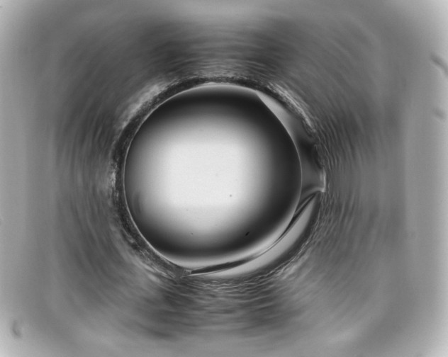 X0000099430723200805091249